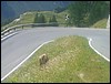 Le Tour de France 2005 (440).JPG