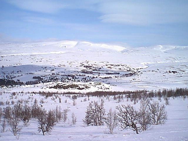 Ausblick von grner Loipe auf Hvringen.jpg