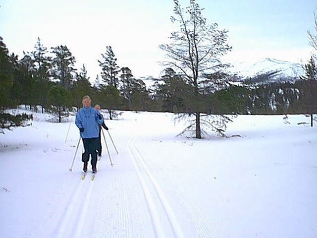 Rote Waldloipe (10 km).jpg